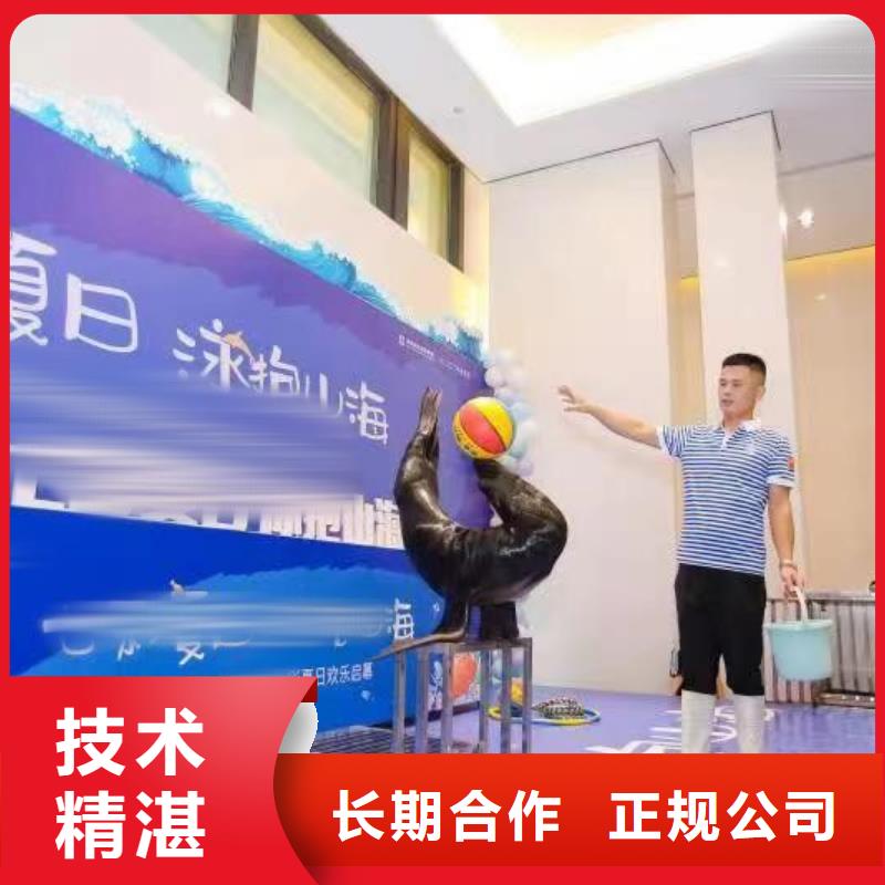 哪有出租海洋展的