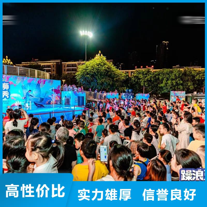 海洋主题动物表演马戏团出租 一站搞定