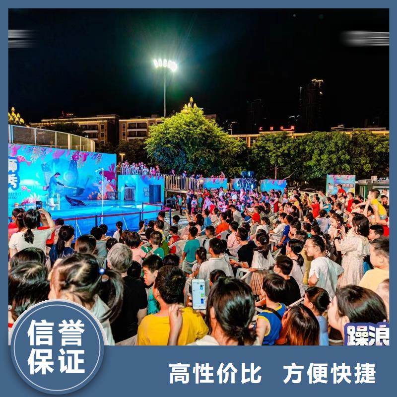 海洋主题动物表演,鹦鹉表演出租快速响应