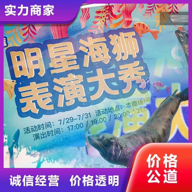 海洋主题动物表演海洋展租赁专业服务
