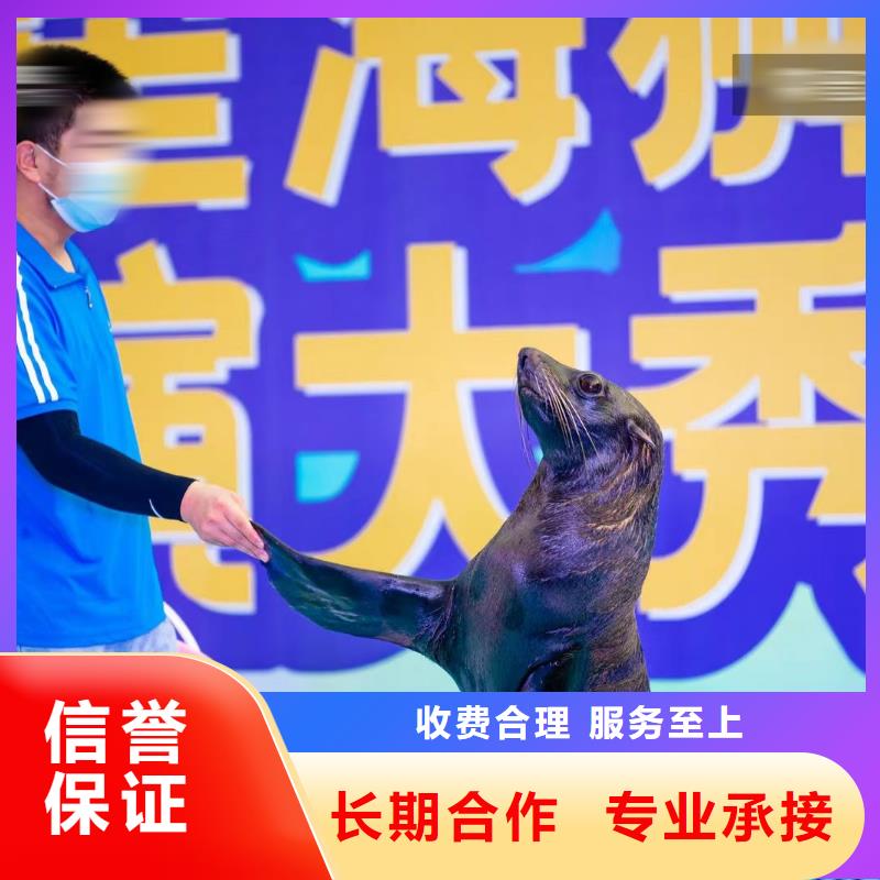 海洋主题动物表演海洋展租赁2025公司精心
