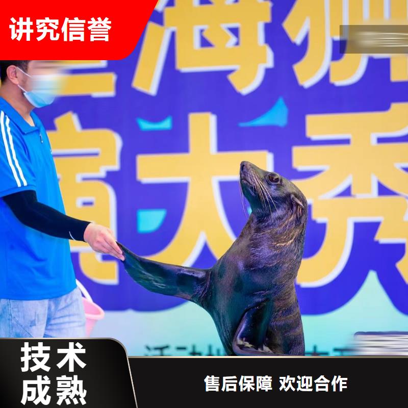海洋主题动物表演马戏团表演欢迎合作