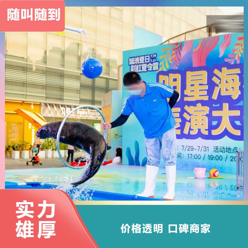 【海洋主题动物表演 出租表演企鹅匠心品质】