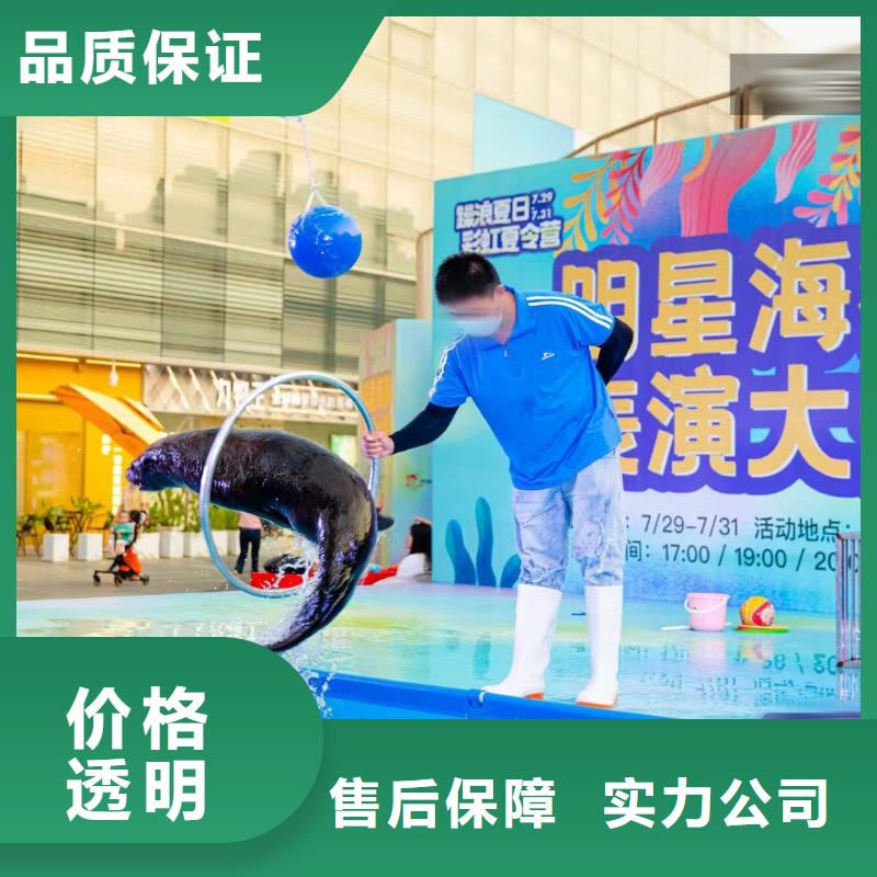 海洋主题动物表演观赏性羊驼租赁免费咨询