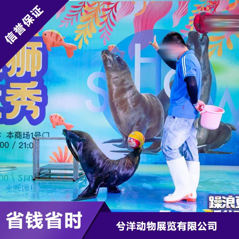 【海洋主题动物表演】出租马戏团表演24小时为您服务