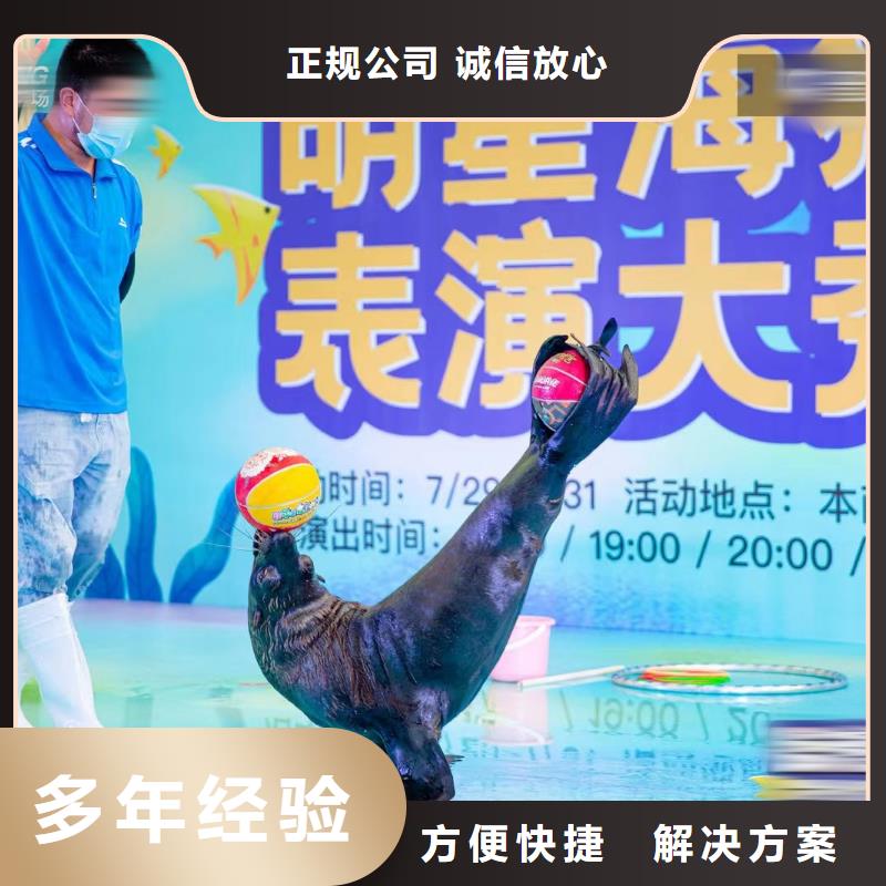 海洋主题动物表演 马戏团出租 一站式服务