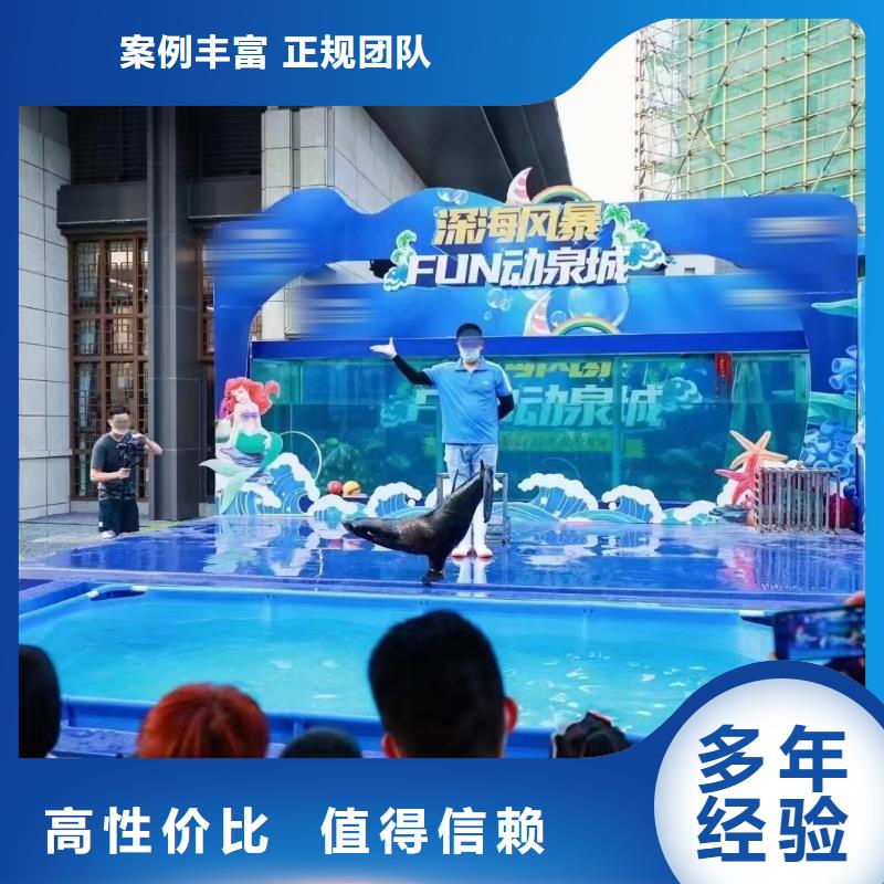海洋主题动物表演【企鹅表演】精英团队