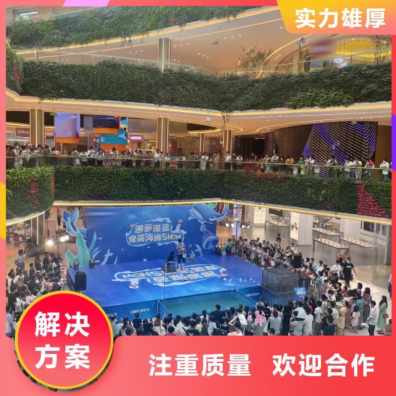 海洋主题动物表演,环球飞车表演出租2025专业的团队