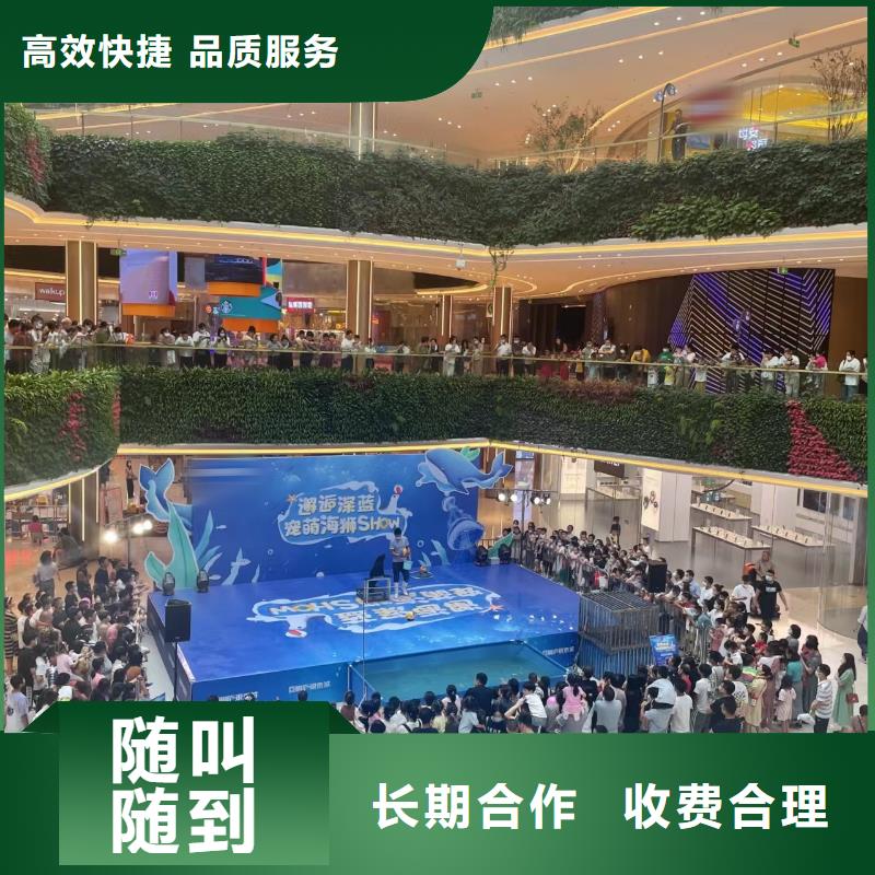 海洋主题动物表演出租动物表演
