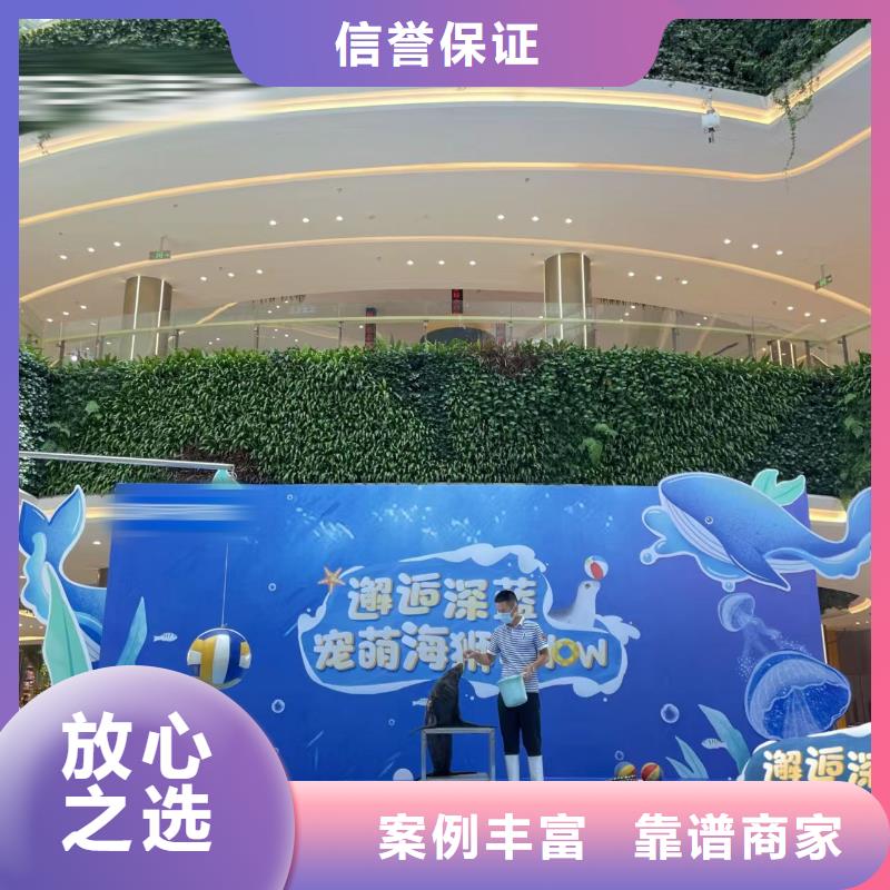 海洋主题动物表演,驯兽表演解决方案