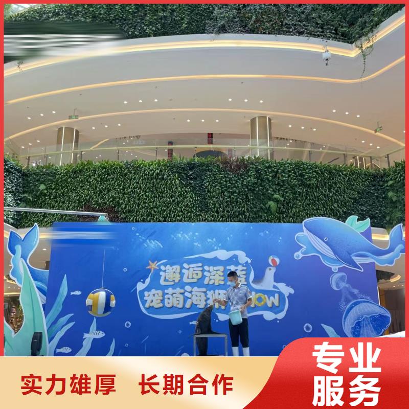 海洋主题动物表演_出租马戏表演解决方案