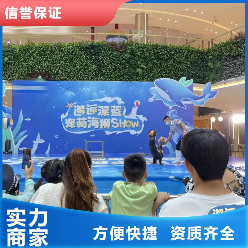 海洋主题动物表演海狮表演出租良好口碑