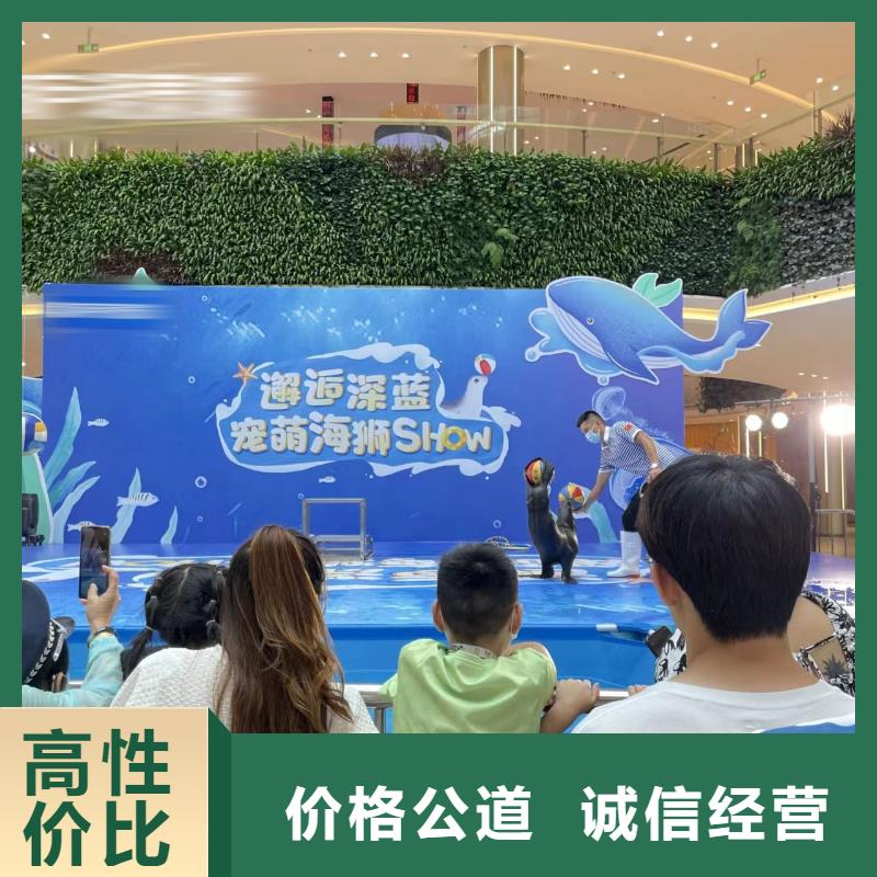 海洋主题动物表演【海狮表演出租】专业品质