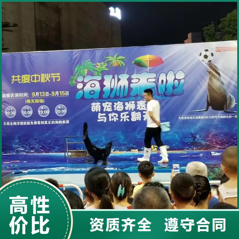 海洋主题动物表演观赏性羊驼租赁免费咨询