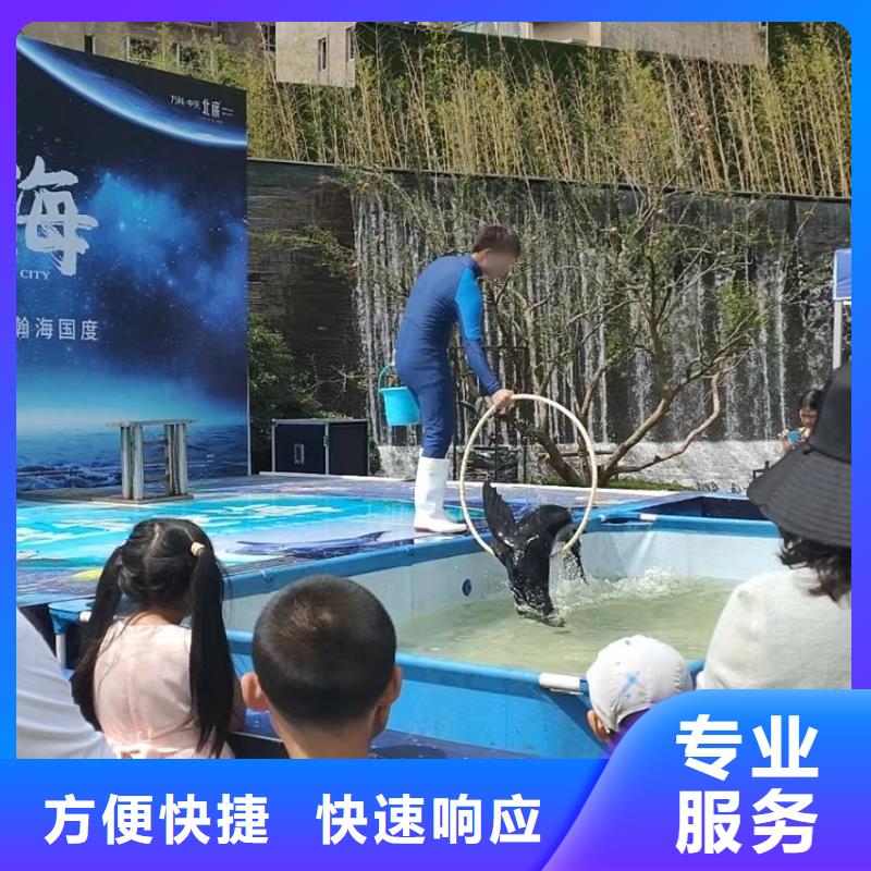 羊驼出租视频-河南省信阳市兮洋羊驼出租可服务区域光山|息县|安阳|洛阳|郑州|商丘|南阳等