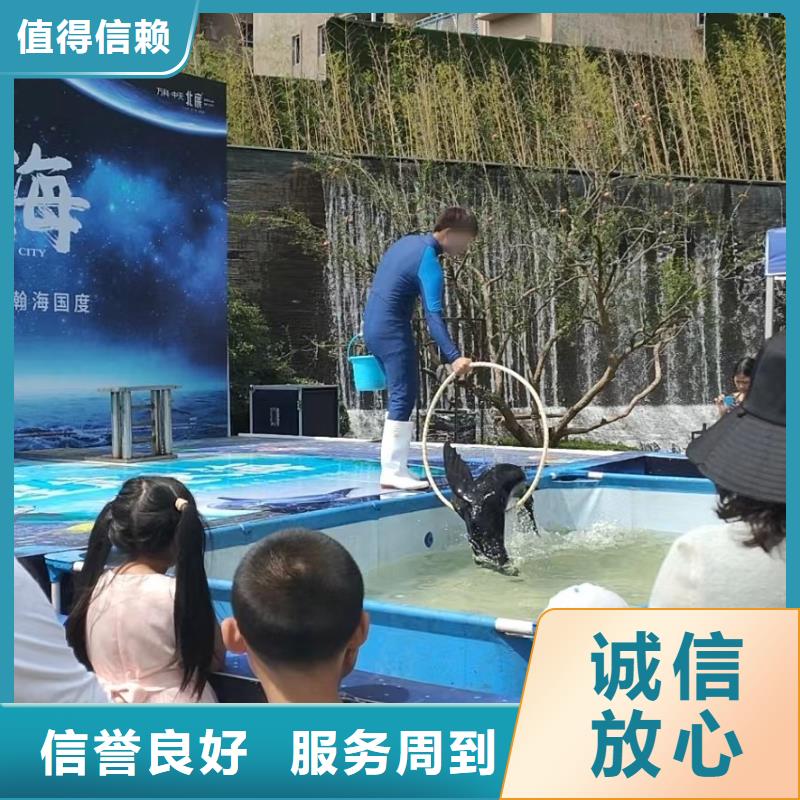 海洋主题动物表演出租海狮表演2025公司