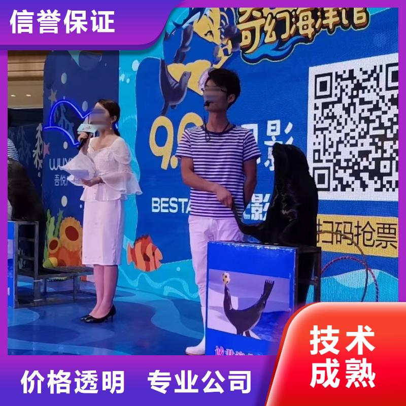 海洋主题动物表演_环球飞车表演出租长期合作