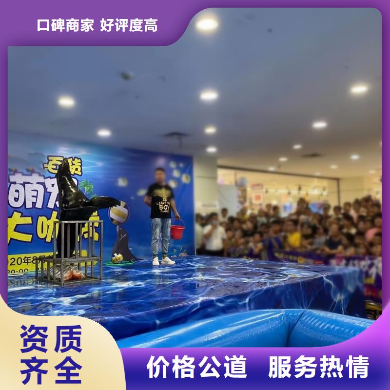 【海洋主题动物表演】出租马戏团表演24小时为您服务