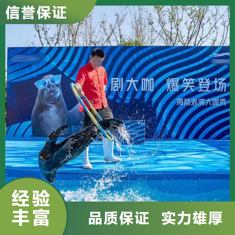 海洋主题动物表演出租表演鹦鹉信誉良好