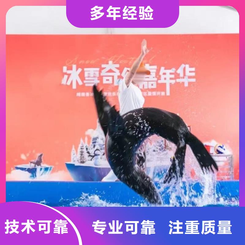海洋主题动物表演,鹦鹉表演出租快速响应