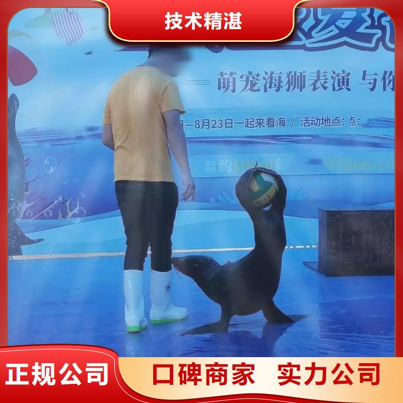 海洋主题动物表演吉祥百鸟展解决方案