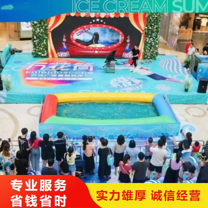 海洋主题动物表演马戏团表演讲究信誉