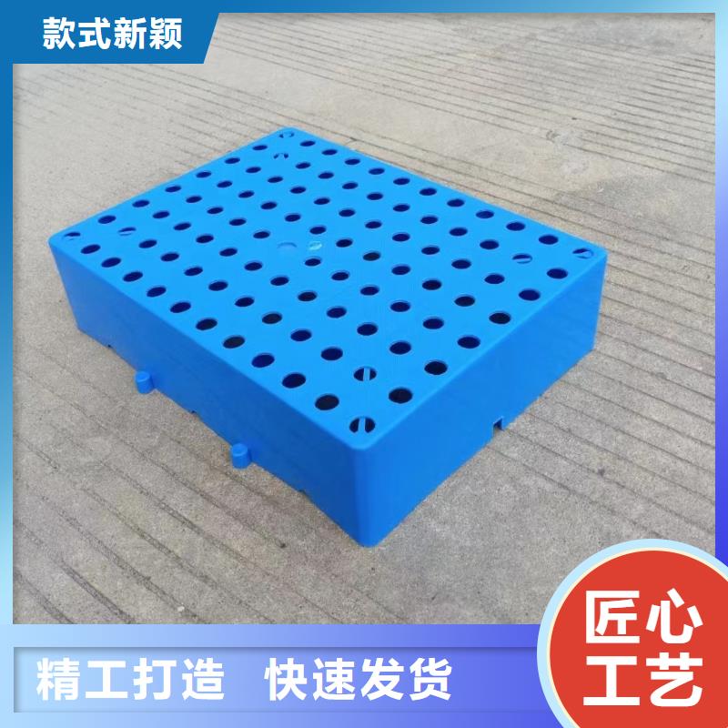 环保塑料拍子视频-环保塑料拍子(凯普奥)覆盖地域河南省濮阳市范县|台前|鹤壁|郑州|商丘|驻马店