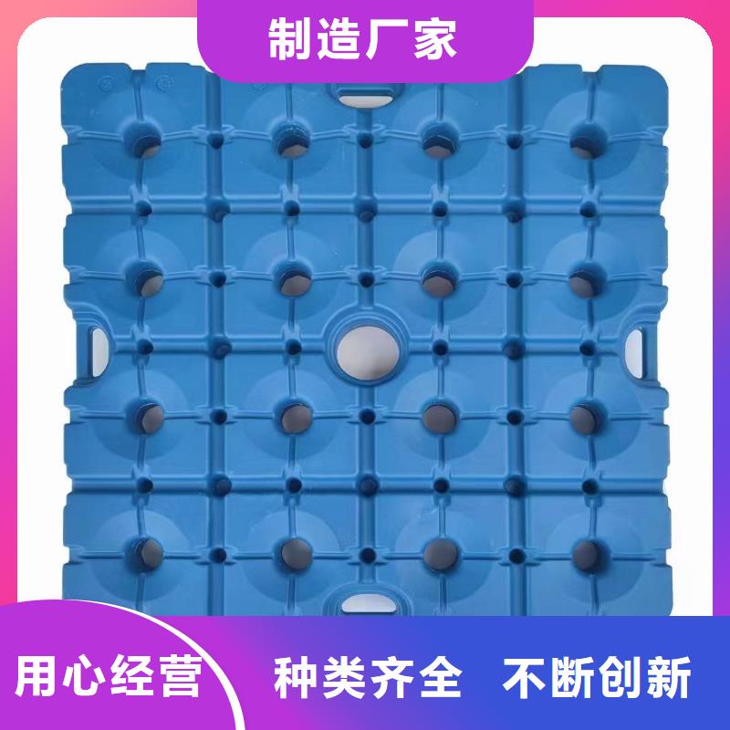 塑料托盘【塑料垫板】源头工厂
