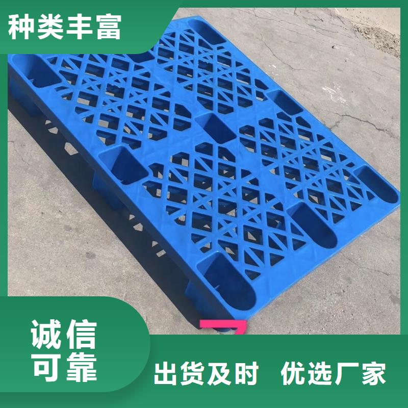 塑料托盘仓库叉车加厚塑胶地台板实体诚信厂家