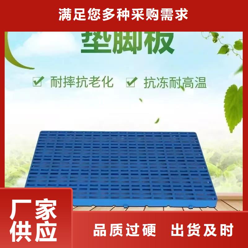 塑料托盘叉车栈板自主研发