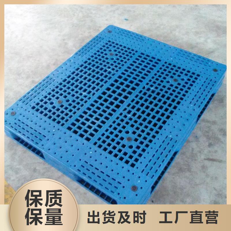 塑料托盘仓库叉车加厚塑胶地台板实体诚信厂家