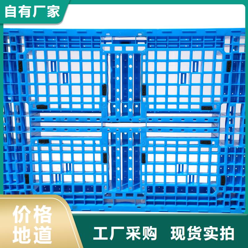 塑料托盘环保塑料拍子品牌专营