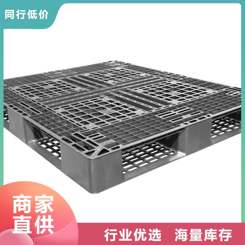 环保塑料拍子视频-环保塑料拍子(凯普奥)覆盖地域河南省濮阳市范县|台前|鹤壁|郑州|商丘|驻马店