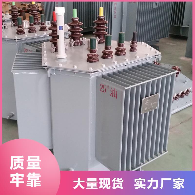 油浸式变压器_变压器厂家注重细节