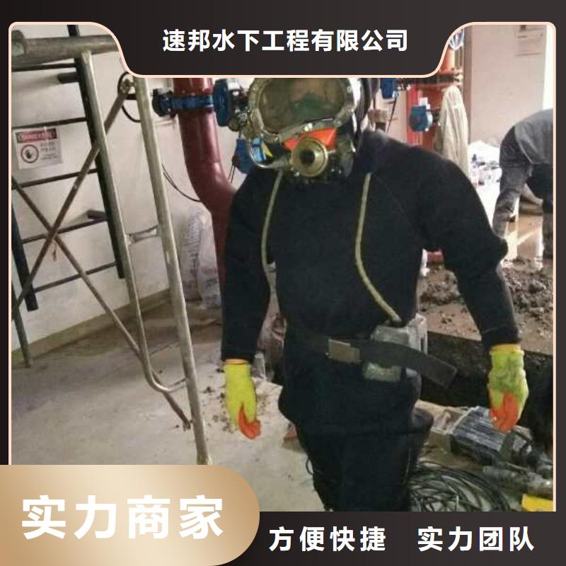 水下安装气囊封堵