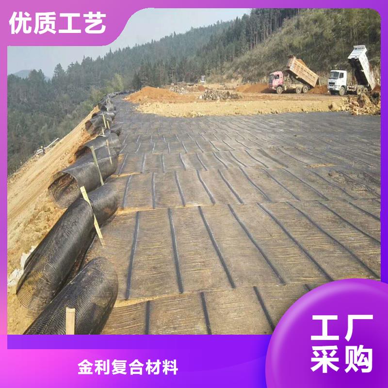 土工格栅\抗裂贴土工格栅多种规格可选