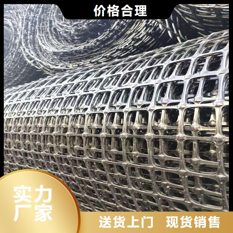 土工格栅\抗裂贴钢塑土工格栅懂您所需
