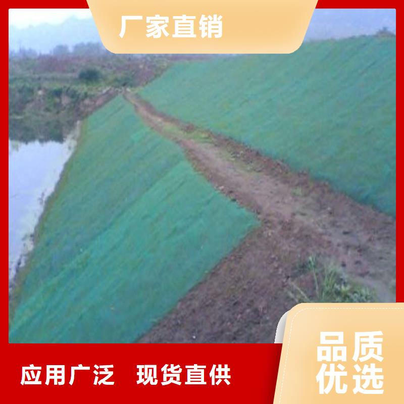 土工布_玻纤格栅诚信可靠