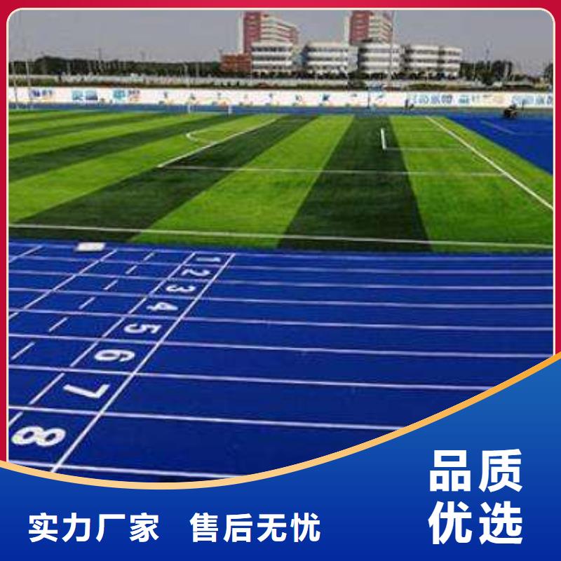 【环保型塑胶跑道】 塑胶场地源厂直接供货