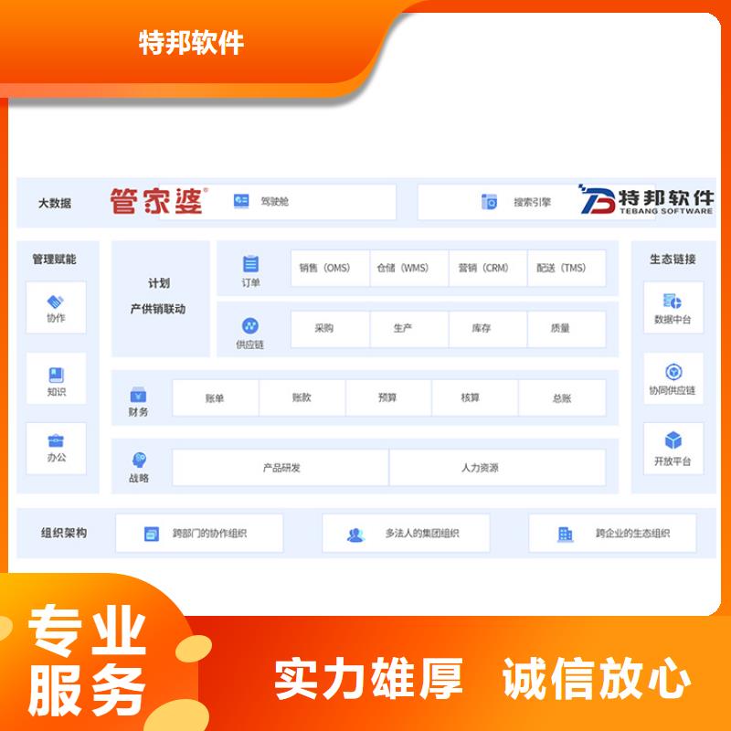 软件管家婆管理软件解决方案