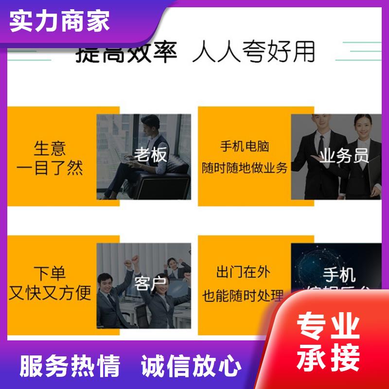 软件,ERP管理软件实力团队