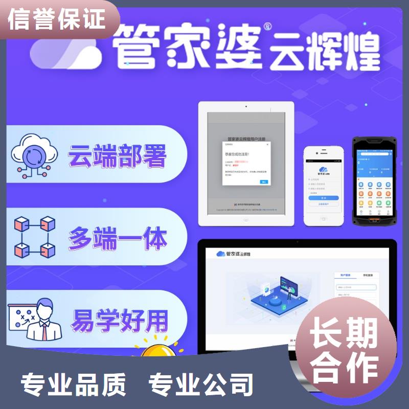 软件管家婆管理软件解决方案