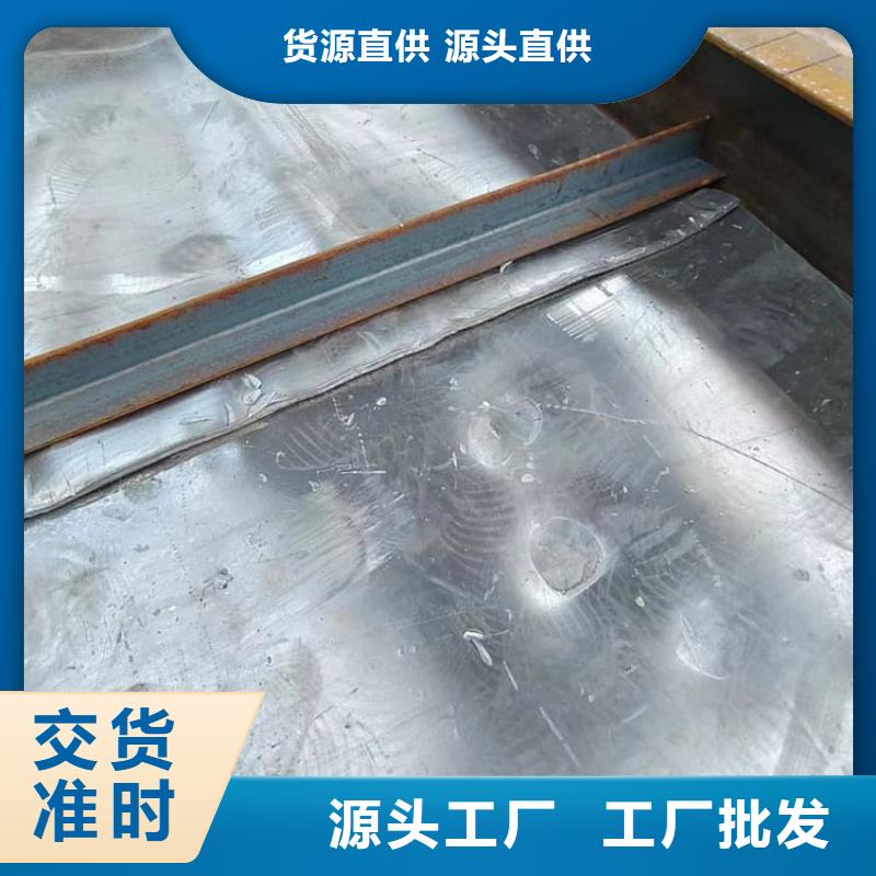 专业销售射线屏蔽铅门-好评