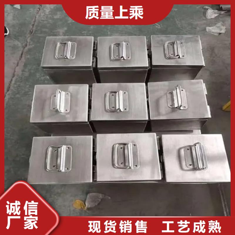 放射性物储物铅箱-欢迎选购