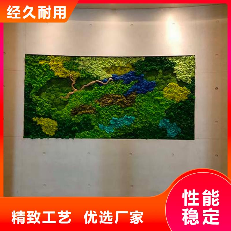 内外墙水泥漆视频-内外墙水泥漆-云南省德宏市【当地】公司-盈江|瑞丽|怒江|丽江|昭通|普洱|玉溪|西双版纳|保山
