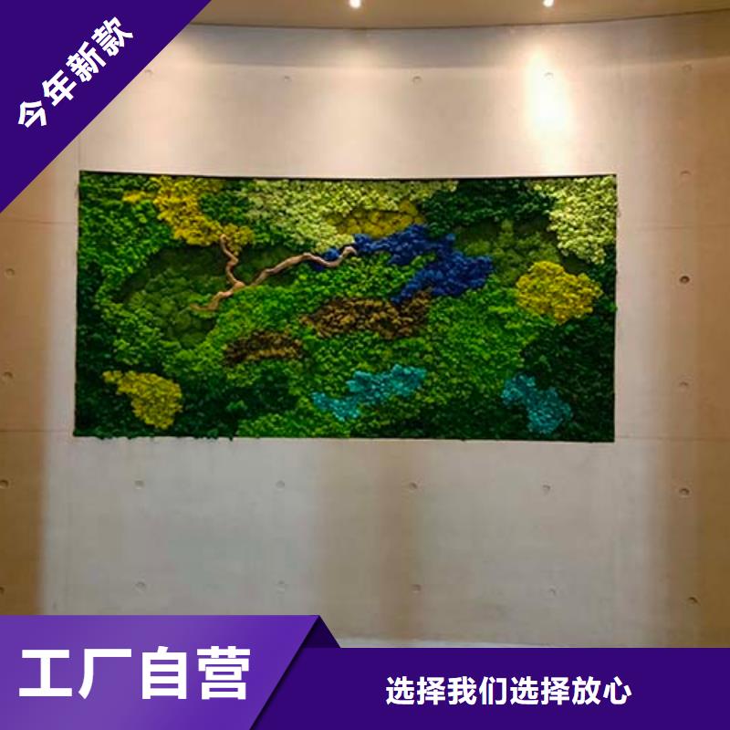 内外墙水泥漆视频-山西省阳泉市采贝内外墙水泥漆可服务区域盂县|平定|运城|吕梁|晋中|太原|长治|晋城|临汾等