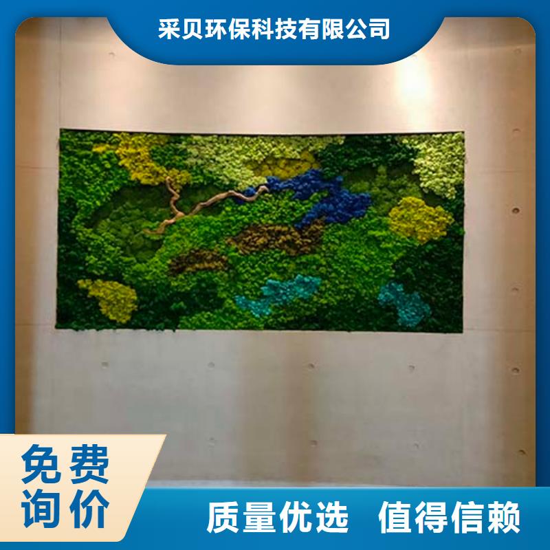 采贝内外墙水泥漆微水泥-【民宿微水泥】用好材做好产品szmyb.com