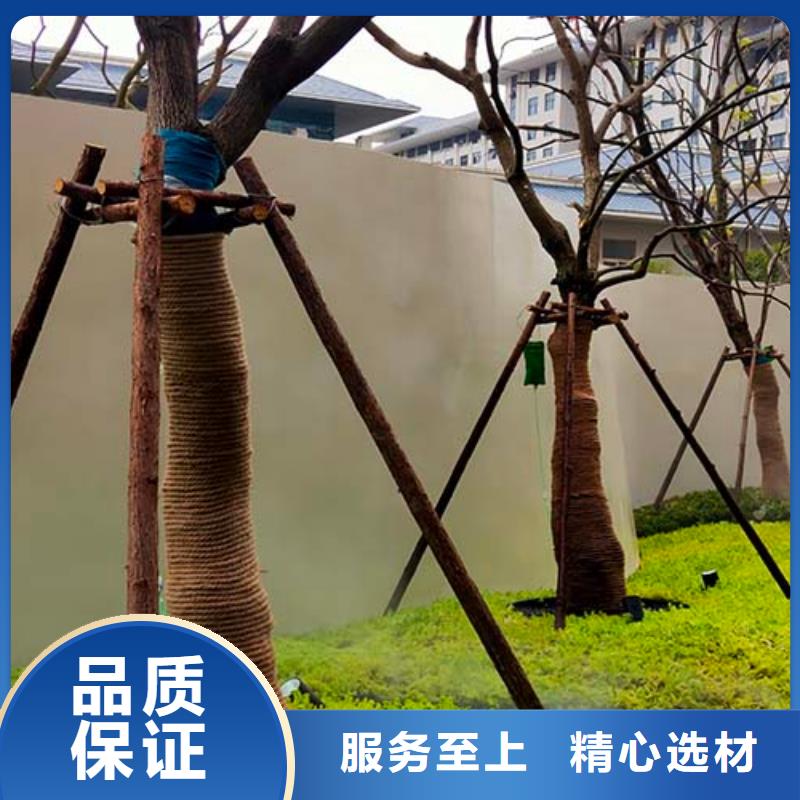 品种全【水泥漆】马来漆实体诚信经营价格,供应商-诚信商务网