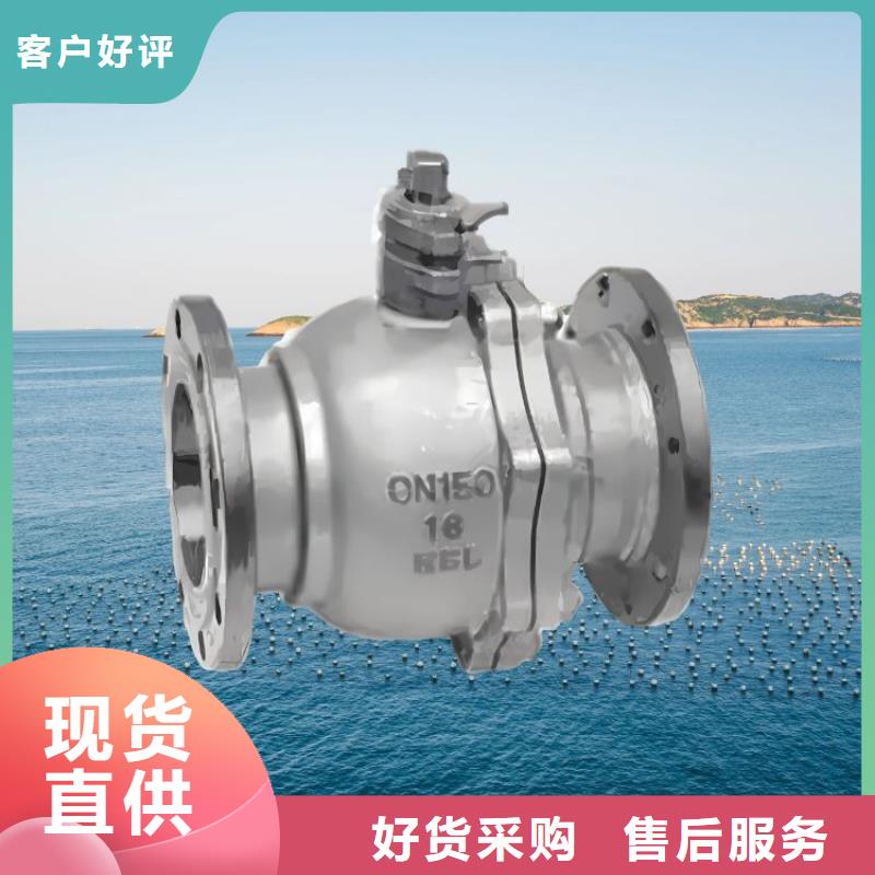 水力控制阀橡胶瓣止回阀实拍品质保障