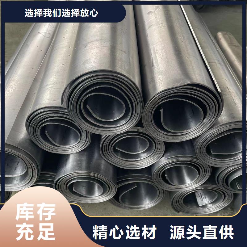 儋州市4MM铅门定制价格欢迎电询